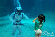 펭귄엄마·상어아빠 봤어요?… 수중교감 아쿠아리스트