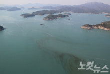 적조가 와도, 비가 와도 회 안심하고 드세요