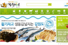 강원도 온라인쇼핑몰 강원마트 활성화 모색