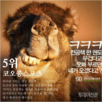 [쓸로몬] 여성혐오 광고, 어떻게 생각하세요?