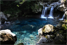 [제주 新명소] 여긴 가봐수꽈?