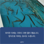 [카드뉴스] 굽고 무치고 회로…최고의 가을철 별미