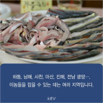 [카드뉴스] 굽고 무치고 회로…최고의 가을철 별미