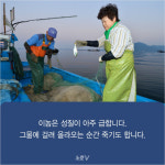 [카드뉴스] 굽고 무치고 회로…최고의 가을철 별미