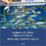 [카드뉴스] 굽고 무치고 회로…최고의 가을철 별미