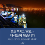 [카드뉴스] 굽고 무치고 회로…최고의 가을철 별미