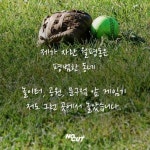 [카드뉴스] 나는 대전 월평동에서 자랐습니다