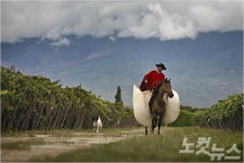 미서부에 카우보이가 있다면, 남미엔 가우초가 있다