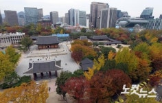 도심 물들인 정동길 단풍
