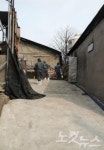 용인시, 포곡읍일대 축산 악취와의 전쟁
