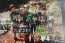 춘천 금산초교 학생들, 텃밭에서 먹거리 체험한다