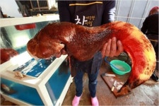 겨울의 초입 12월에 가볼 만한 곳은 어디일까?