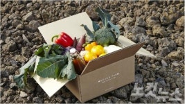 [영상]제주도 마을기업 무릉외갓집