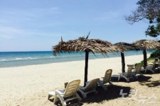 순수한 자연이 있는 코타키나발루 3월에 만나요