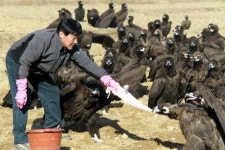 2,3호 분점까지… 독수리 식당을 아시나요