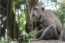 준비 없이 가도 힐링 되는, 발리