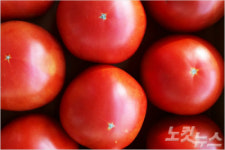 김천재래시장물가, 과실류 오르고 채소류 내리고