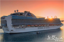 앞으로 당신이 떠날, 크루즈 여행에 대한 모든 것