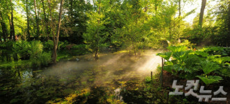 링켄리브가 전하는 진짜 프랑스 여행