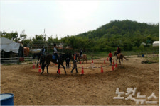 시흥시, 초·중학교 연계 승마 체험 교실 운영