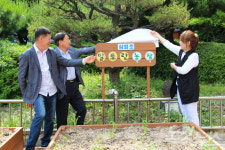 농작물 가꾸며 녹색 교육…삼일초, 알토란 농장 눈길