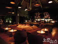 풀에서 스위밍하고 데이베드에서 음료 즐기는 비치클럽 레스토랑