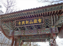 강원도의 힘 만끽하러 여행 떠나자