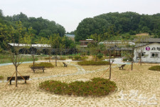 김천시, 장애여성과 일반인 소통하는 나눔숲 조성