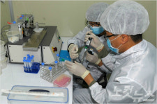 감염성 질환 진단·치료제 개발, 춘천 바이오 기업 이뮨메드