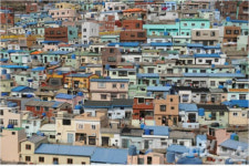 감천문화마을 주민전용버스로 교통난 해소