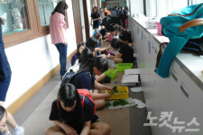 학교에서 누에 키워요! 남춘천여중, 누에 관찰 프로젝트