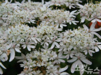 우등 고속버스로 떠나는 당일치기 국내여행 어때요?