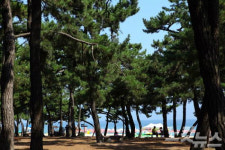 강원도 여행 우리 가족끼리 편하게 떠나자