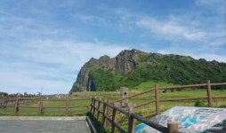 제주여행, 숙박과 렌트카만을 제공하는 카+텔 서비스가 뜬다