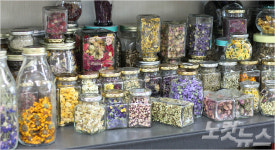 가을 보약 꽃차를 아시나요?