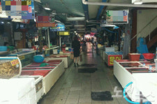 15년 만의 콜레라 경북동해안 수산시장 직격탄