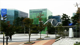 판교 환풍구 붕괴사고가 우리에게 남긴 것