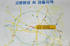 충남에 이서 전북서도 고병원성 AI검출 비상