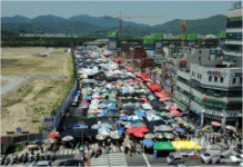 성남 모란시장 새단장…식육견 판매 사라진다