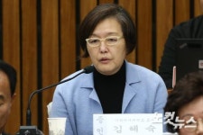 의원들의 질의받는 김혜숙 이화여자대학교 교수