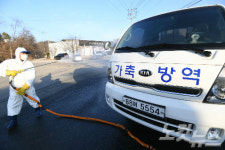 AI 청정지역 옥천에서도 의심신고 접수, 충북 살처분 가금류 250만마리