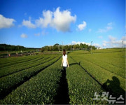 제주여행에서 꼭 가야할 곳