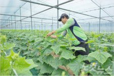 고흥군, 맞춤형 청년 창업농장 확대