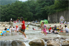 여름아, 기다려 부산 대천천 관광화 박차