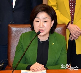 야4당 4+4 회동, 발언하는 정의당 심상정 대표