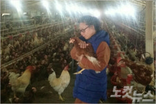 어떻게 키웠는데…멀쩡한 아이(닭) 살처분하라니