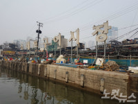 까맣게 타버린 조개·새우…망연자실한 소래포구 상인들