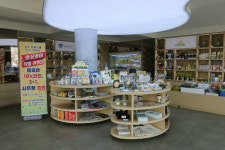 제1회 경주벚꽃축제 개최…지역 농·특산물도 할인 행사