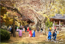 ‘2017 풍류 남도 나들이’ 22일 본격 시작