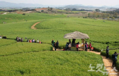 봄이 주는 아름다움을 찾아서